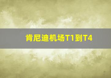 肯尼迪机场T1到T4