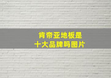 肯帝亚地板是十大品牌吗图片