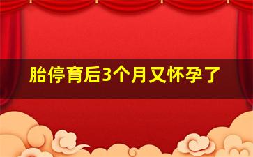 胎停育后3个月又怀孕了