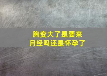 胸变大了是要来月经吗还是怀孕了