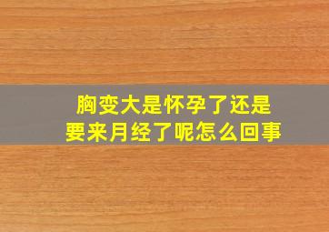 胸变大是怀孕了还是要来月经了呢怎么回事