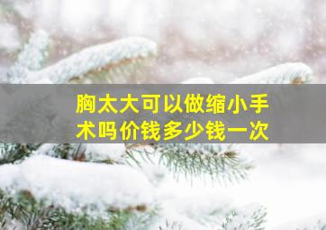 胸太大可以做缩小手术吗价钱多少钱一次