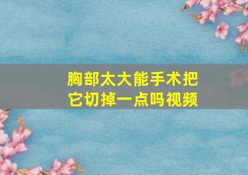 胸部太大能手术把它切掉一点吗视频