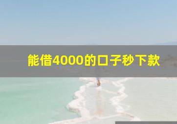 能借4000的口子秒下款