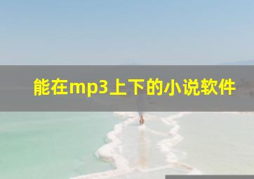 能在mp3上下的小说软件