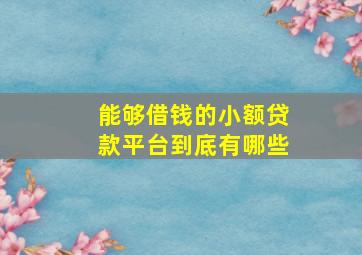 能够借钱的小额贷款平台到底有哪些