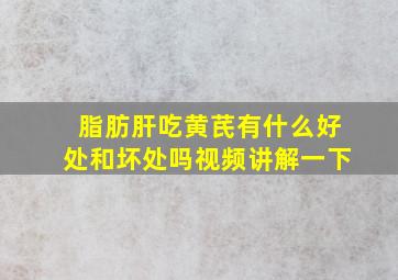 脂肪肝吃黄芪有什么好处和坏处吗视频讲解一下