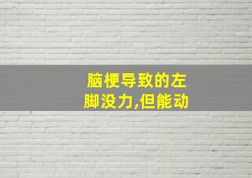 脑梗导致的左脚没力,但能动