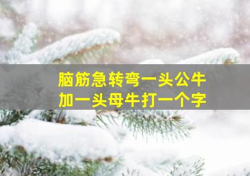 脑筋急转弯一头公牛加一头母牛打一个字