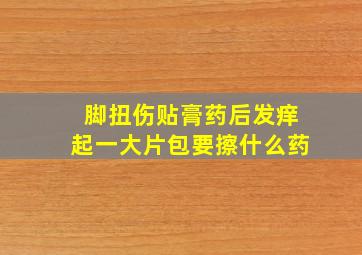 脚扭伤贴膏药后发痒起一大片包要擦什么药