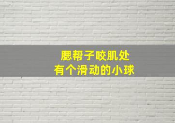 腮帮子咬肌处有个滑动的小球