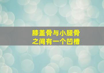 膝盖骨与小腿骨之间有一个凹槽