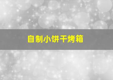 自制小饼干烤箱