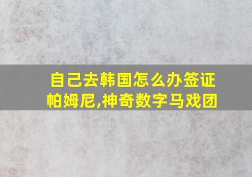 自己去韩国怎么办签证帕姆尼,神奇数字马戏团