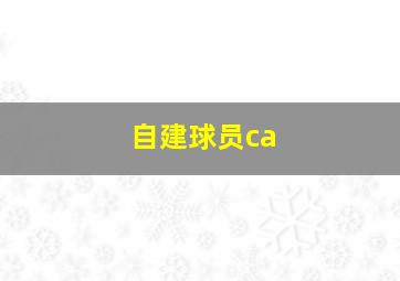 自建球员ca