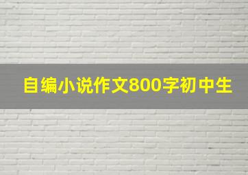 自编小说作文800字初中生