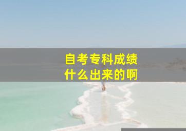 自考专科成绩什么出来的啊