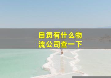 自贡有什么物流公司查一下