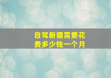 自驾新疆需要花费多少钱一个月