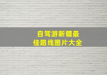 自驾游新疆最佳路线图片大全