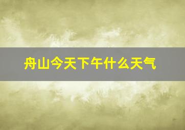 舟山今天下午什么天气