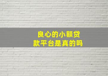 良心的小额贷款平台是真的吗