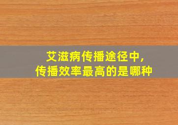 艾滋病传播途径中,传播效率最高的是哪种