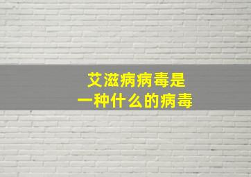 艾滋病病毒是一种什么的病毒