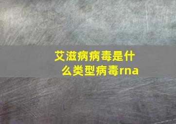 艾滋病病毒是什么类型病毒rna