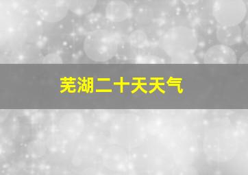 芜湖二十天天气