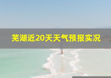 芜湖近20天天气预报实况