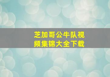 芝加哥公牛队视频集锦大全下载