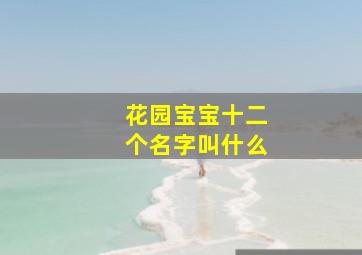 花园宝宝十二个名字叫什么