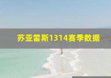 苏亚雷斯1314赛季数据