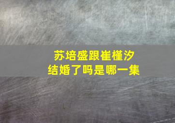 苏培盛跟崔槿汐结婚了吗是哪一集