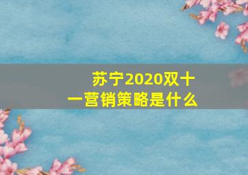 苏宁2020双十一营销策略是什么