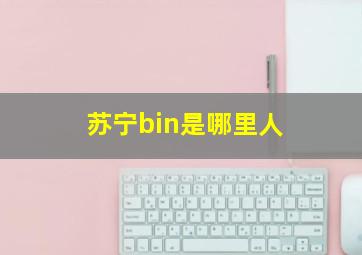 苏宁bin是哪里人