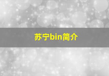 苏宁bin简介