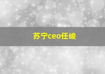 苏宁ceo任峻