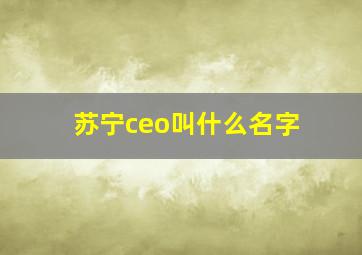 苏宁ceo叫什么名字