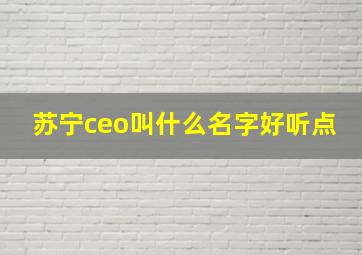 苏宁ceo叫什么名字好听点