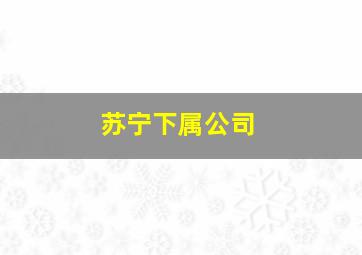 苏宁下属公司