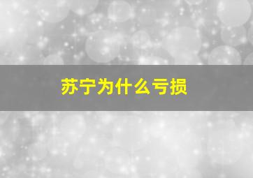 苏宁为什么亏损