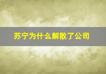 苏宁为什么解散了公司