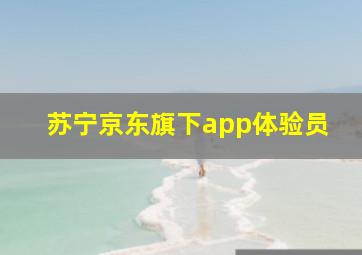 苏宁京东旗下app体验员