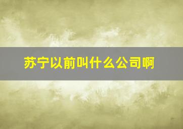 苏宁以前叫什么公司啊