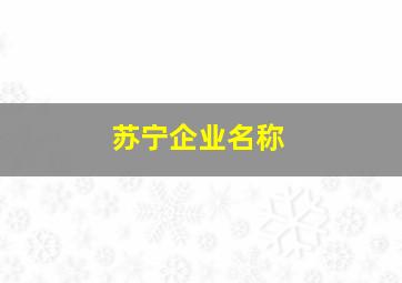 苏宁企业名称