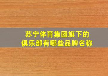 苏宁体育集团旗下的俱乐部有哪些品牌名称