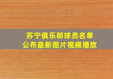 苏宁俱乐部球员名单公布最新图片视频播放