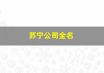 苏宁公司全名